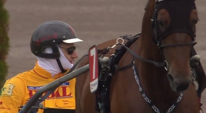 N. Jokičius baigęs karjerą svajoja pasinerti į žirgų sportą