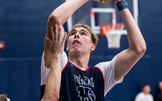 M. Krivas užfiksavo dvigubą dublį, o „Wildcats“ šventė pergalę kontrolinėse rungtynėse